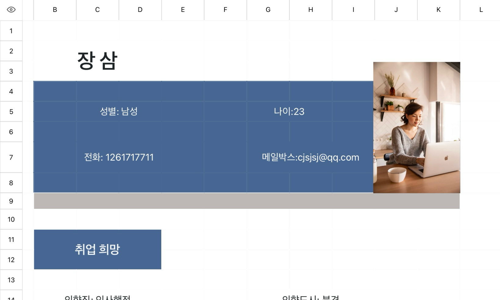 인사 이력서